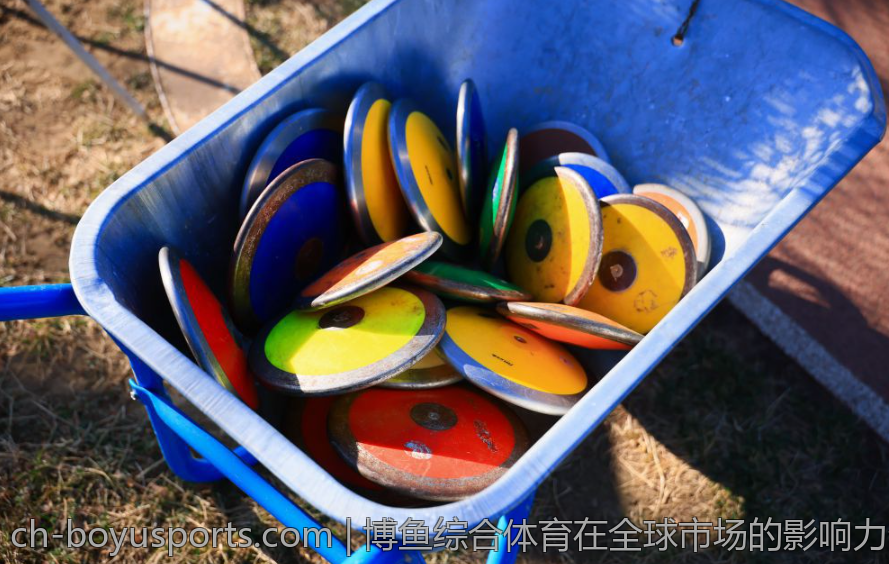 博鱼综合体育在全球市场的影响力分析